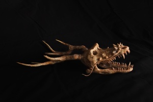 ドラゴン　龍　竜　化石　頭骨